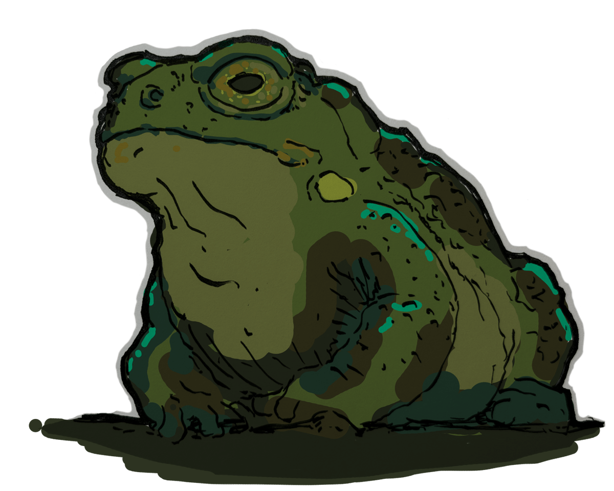 A drawing of a Sonoran Desert Toad
